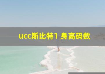 ucc斯比特1 身高码数